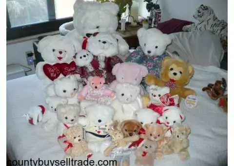 All Occasion~Teddy Bear Collection! Excellent Condition - Most Brand NEW!